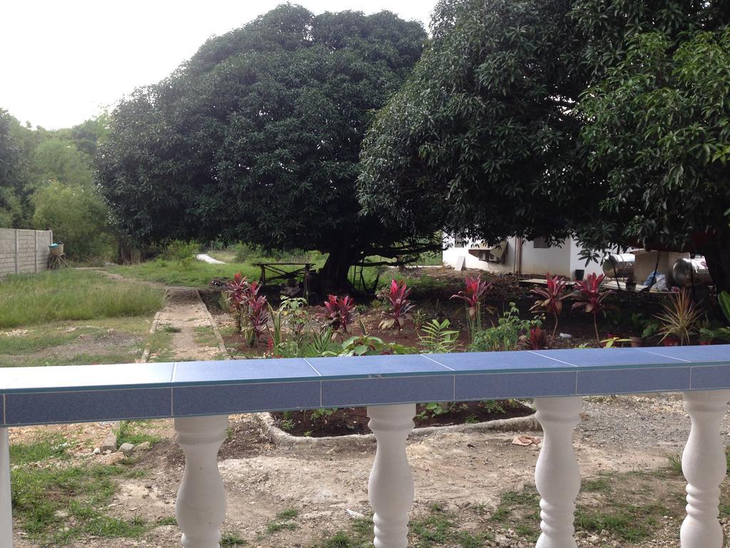 Mangoes Place Moalboal Exterior foto